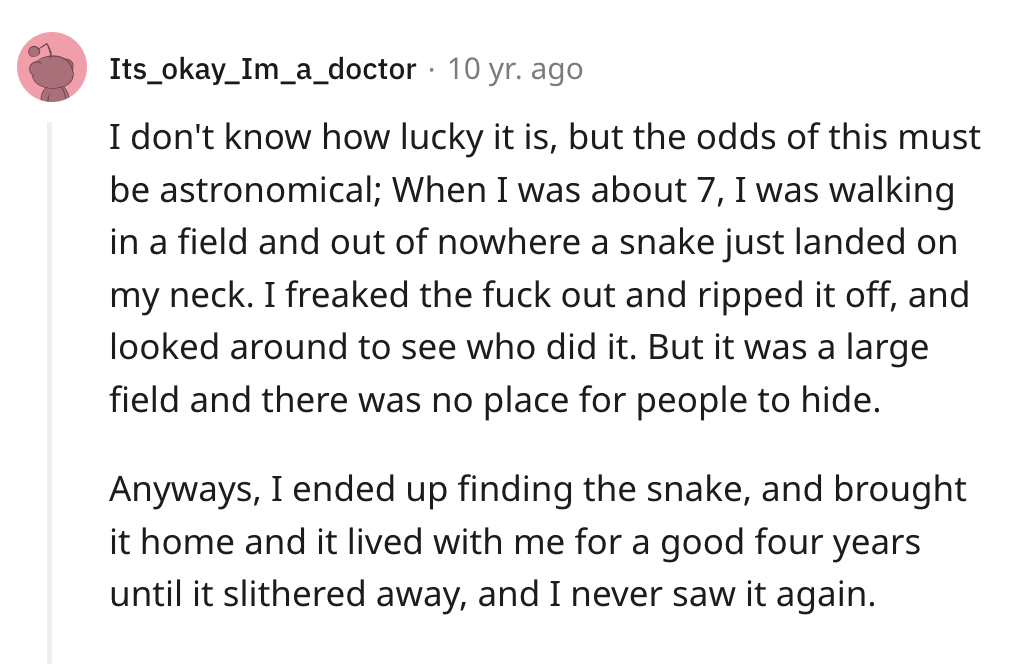 number - Its okay Im_a_doctor 10 yr. ago I don't know how lucky it is, but the odds of this must be astronomical; When I was about 7, I was walking in a field and out of nowhere a snake just landed on my neck. I freaked the fuck out and ripped it off, and